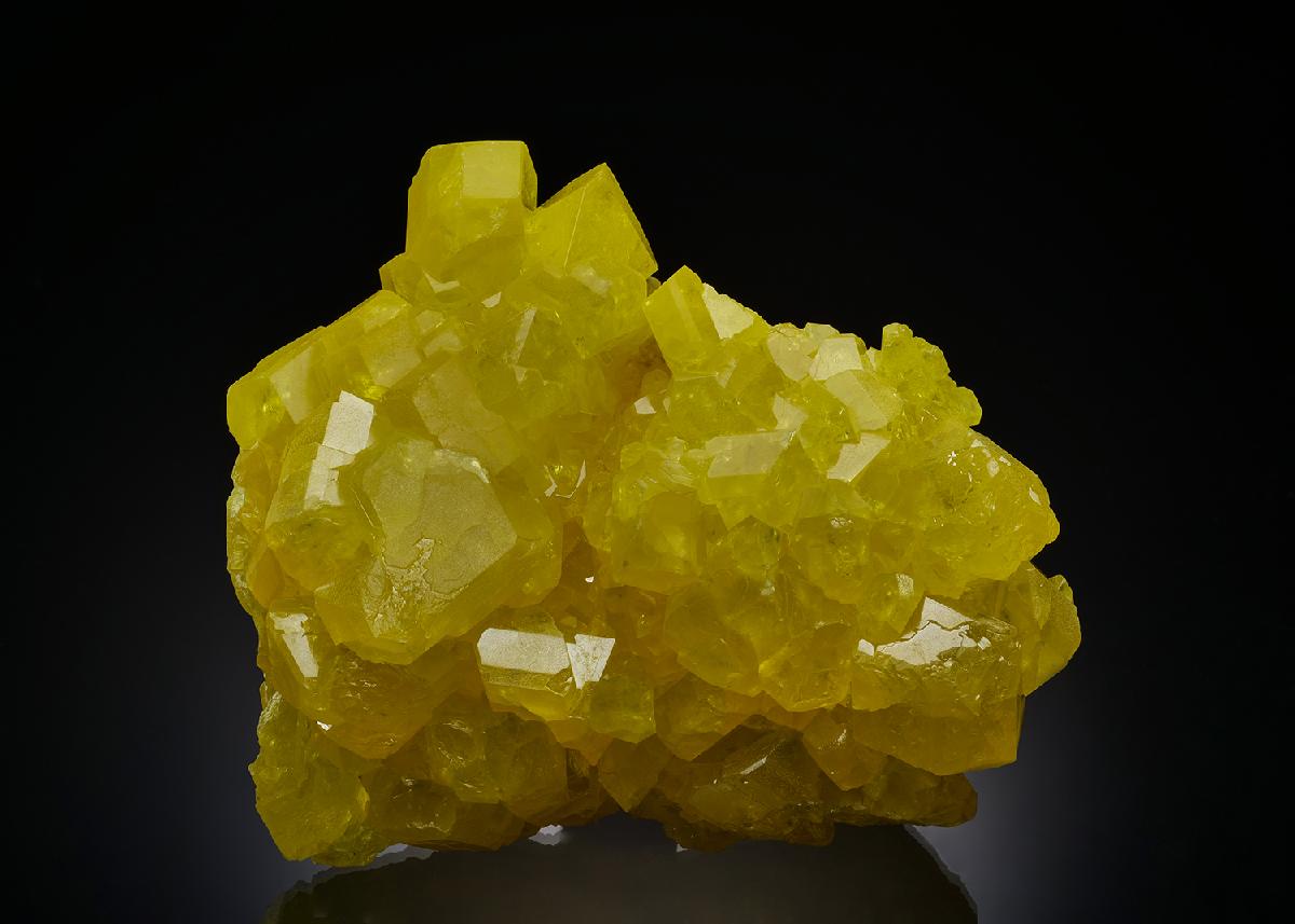CC37188 specimen image