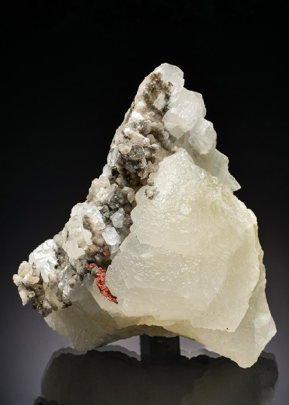 CC37227 specimen image