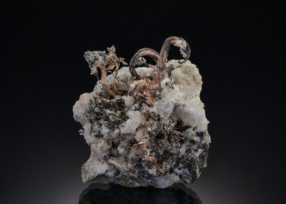 CC37464 specimen image
