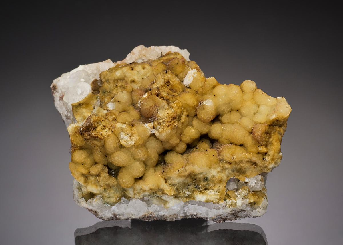 CC37650 specimen image