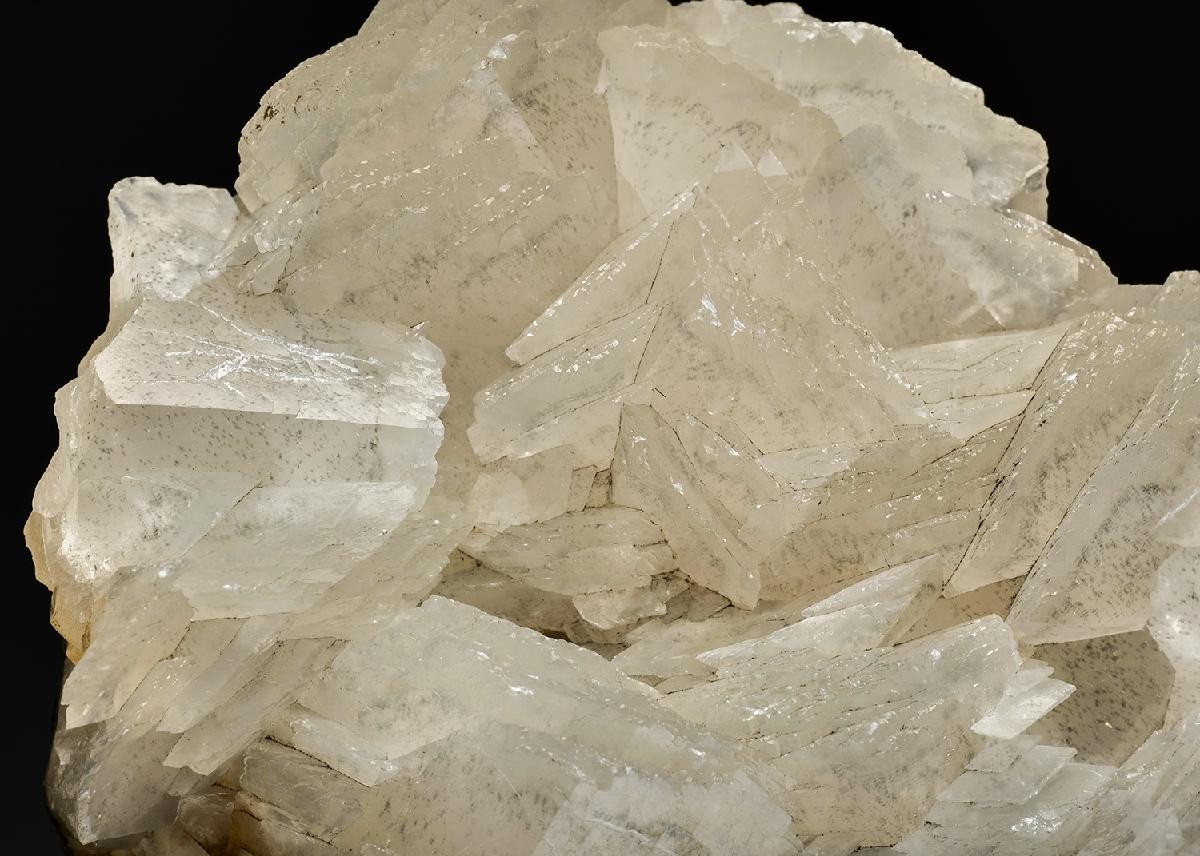 CC37674 specimen image
