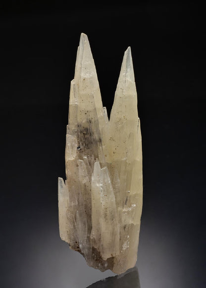 CC3770 specimen image
