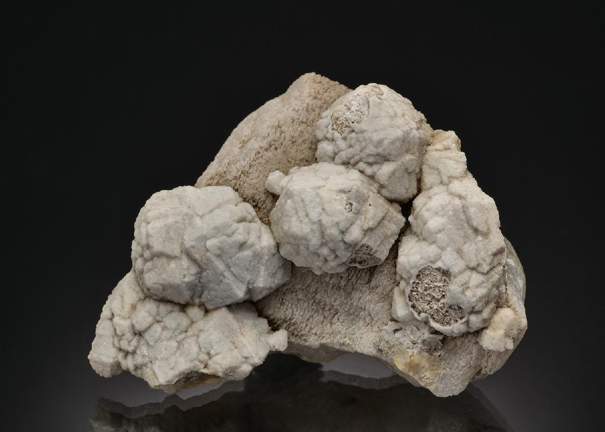 CC37743 specimen image