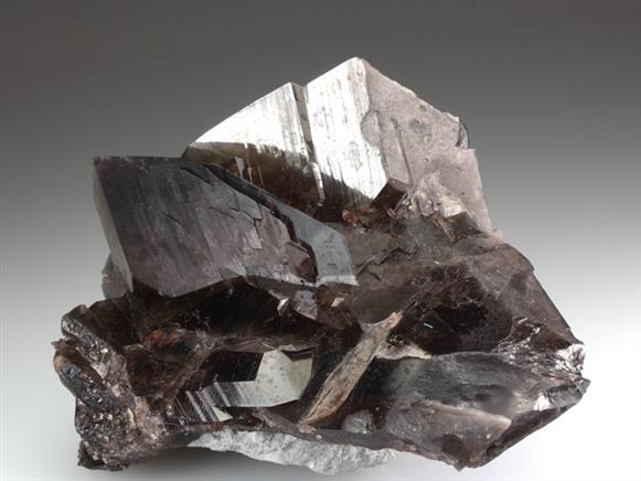 CC3789 specimen image