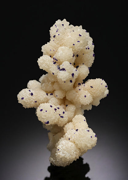 CC3803 specimen image