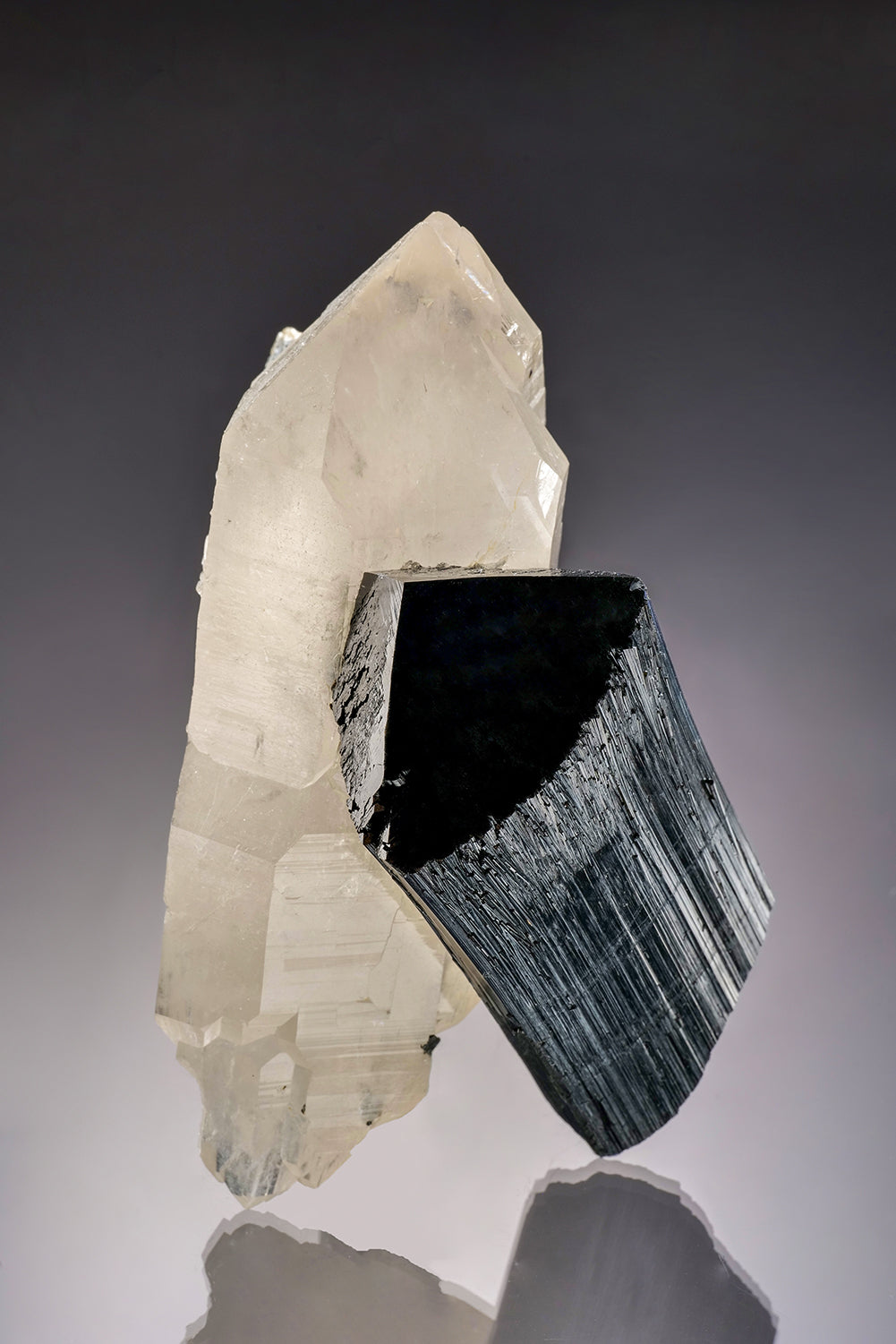 SCHORL on QUARTZ