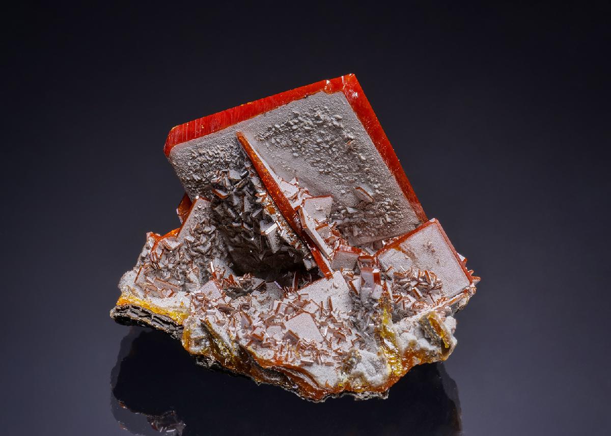 CC38255 specimen image