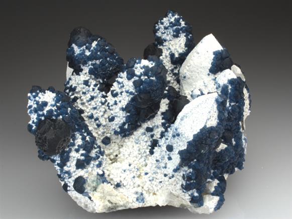 CC3871 specimen image