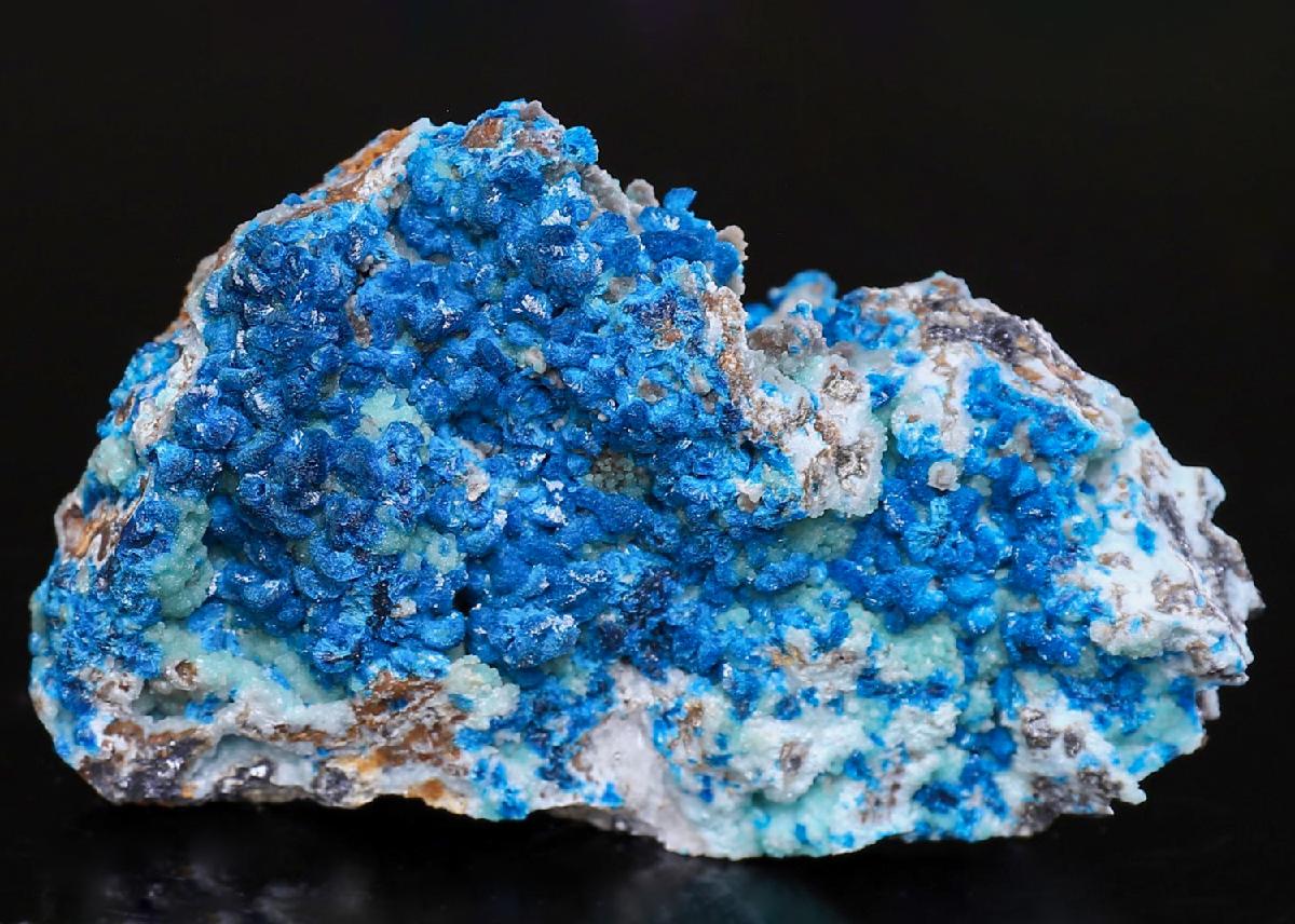 CC38765 specimen image