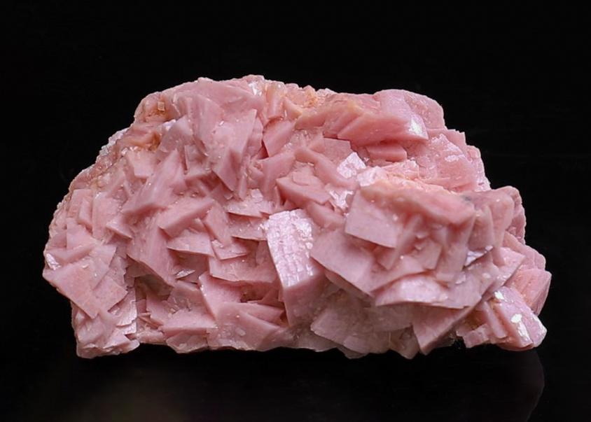 CC39270 specimen image