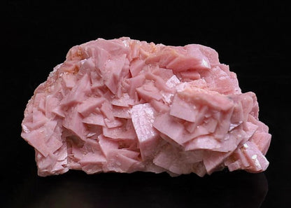 CC39270 specimen image