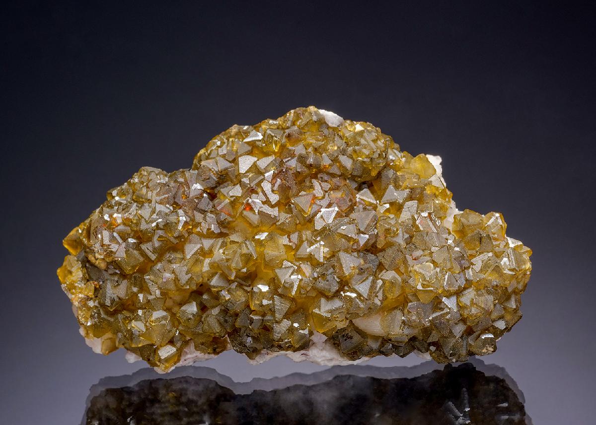 CC3928 specimen image