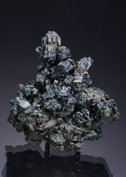 CC3930 specimen image