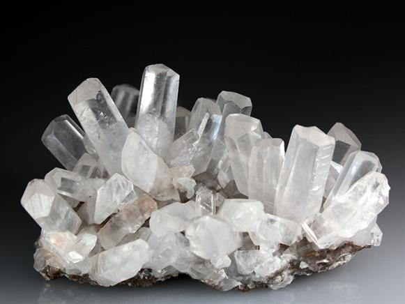 CC3949 specimen image