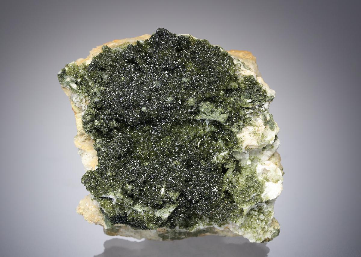 CC3950 specimen image