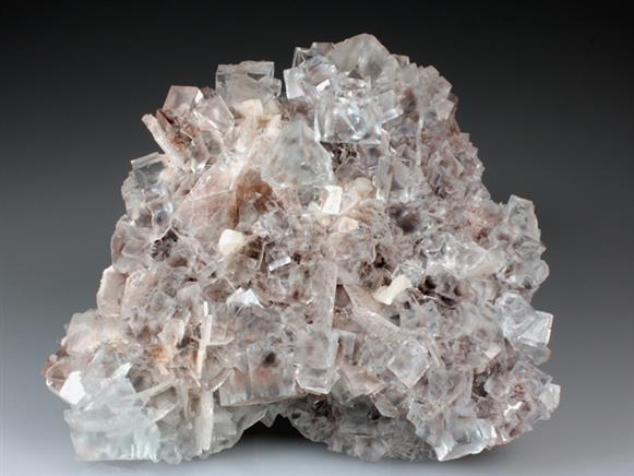 CC3951 specimen image