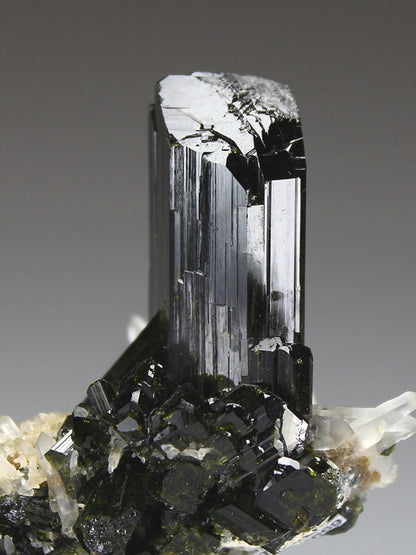 CC3977 specimen image