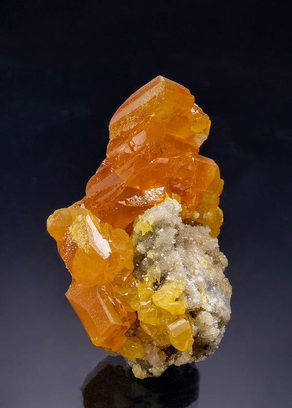 CC39840 specimen image