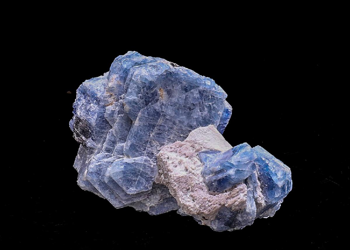 CC39879 specimen image