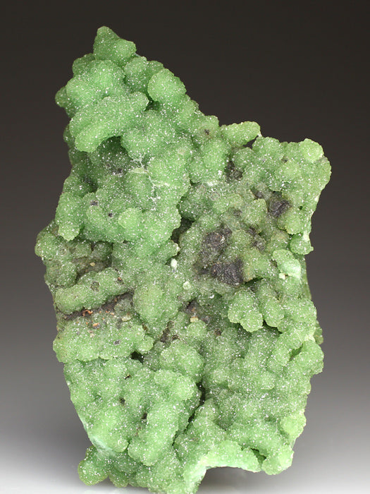 CC4008 specimen image