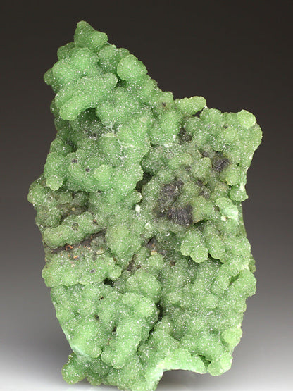 CC4008 specimen image