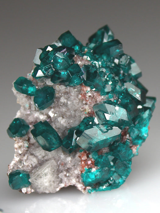 CC4013 specimen image