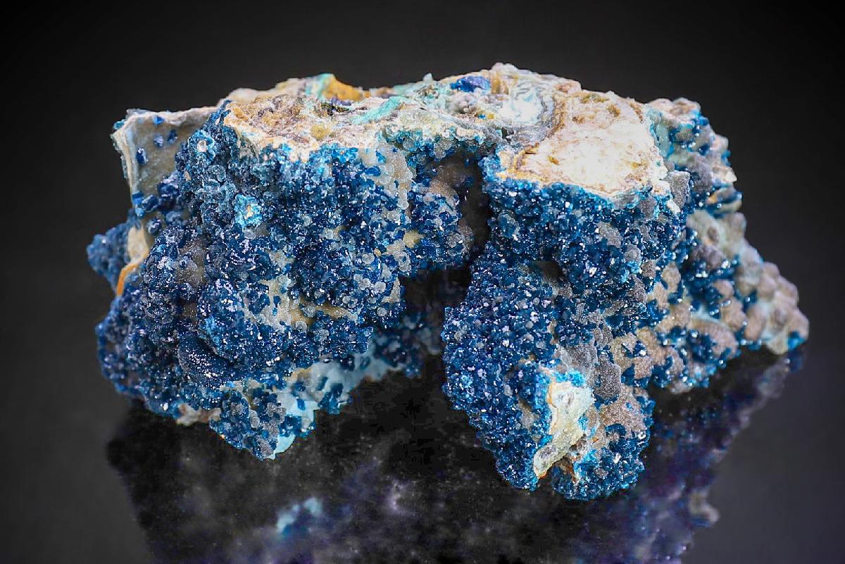 CC40197 specimen image