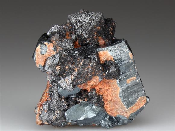 CC4051 specimen image