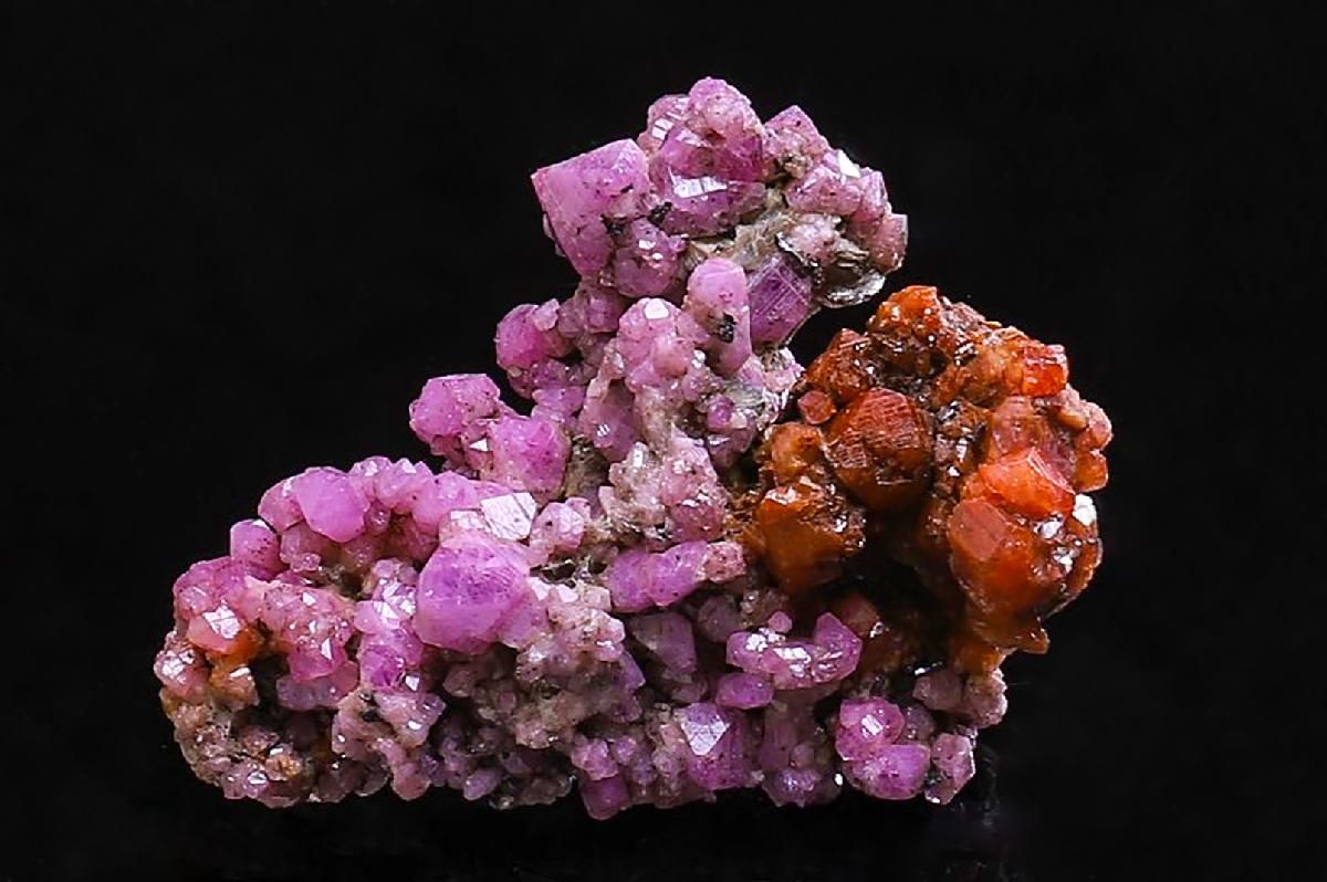 CC40580 specimen image
