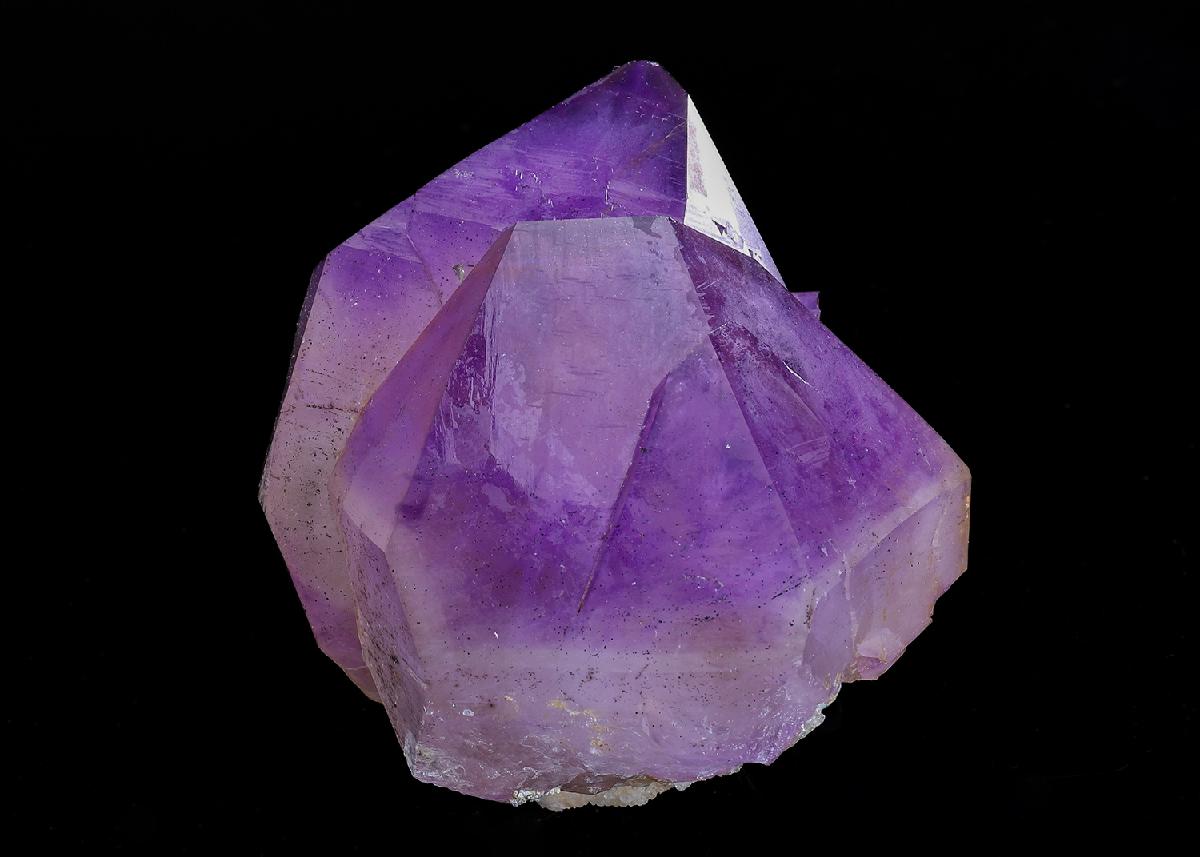 CC40625 specimen image