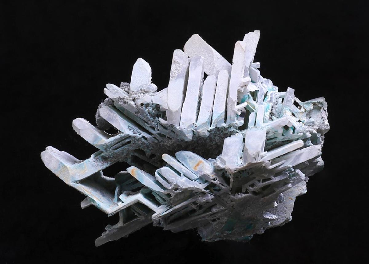 CC40682 specimen image