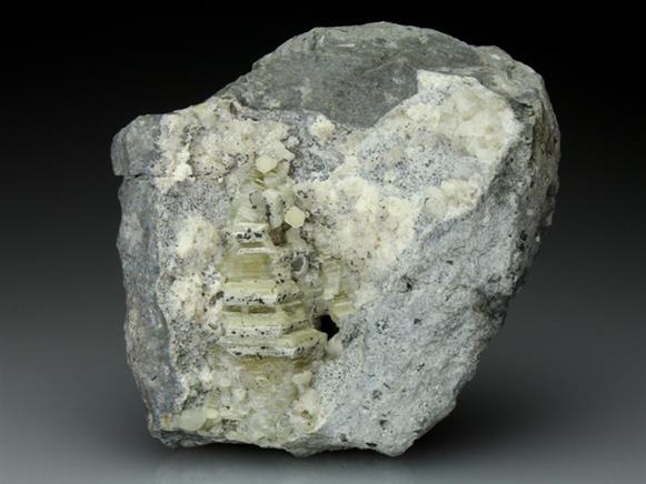 CC4074 specimen image