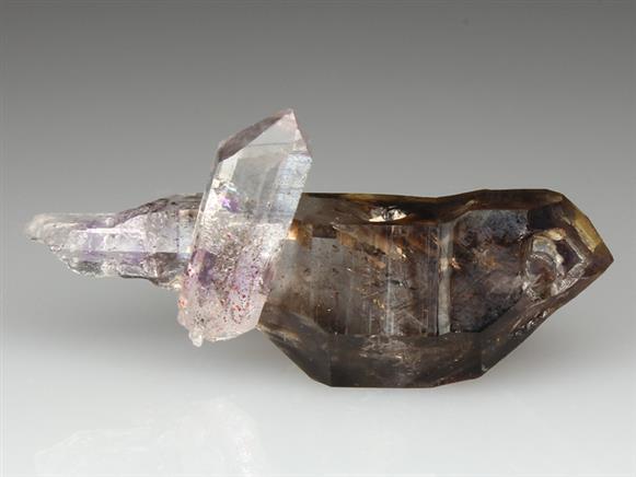 CC4082 specimen image