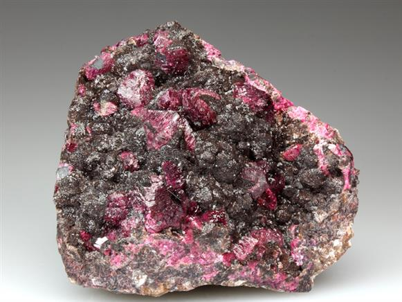 CC4088 specimen image