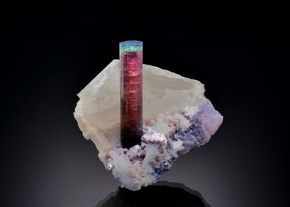 CC41082 specimen image