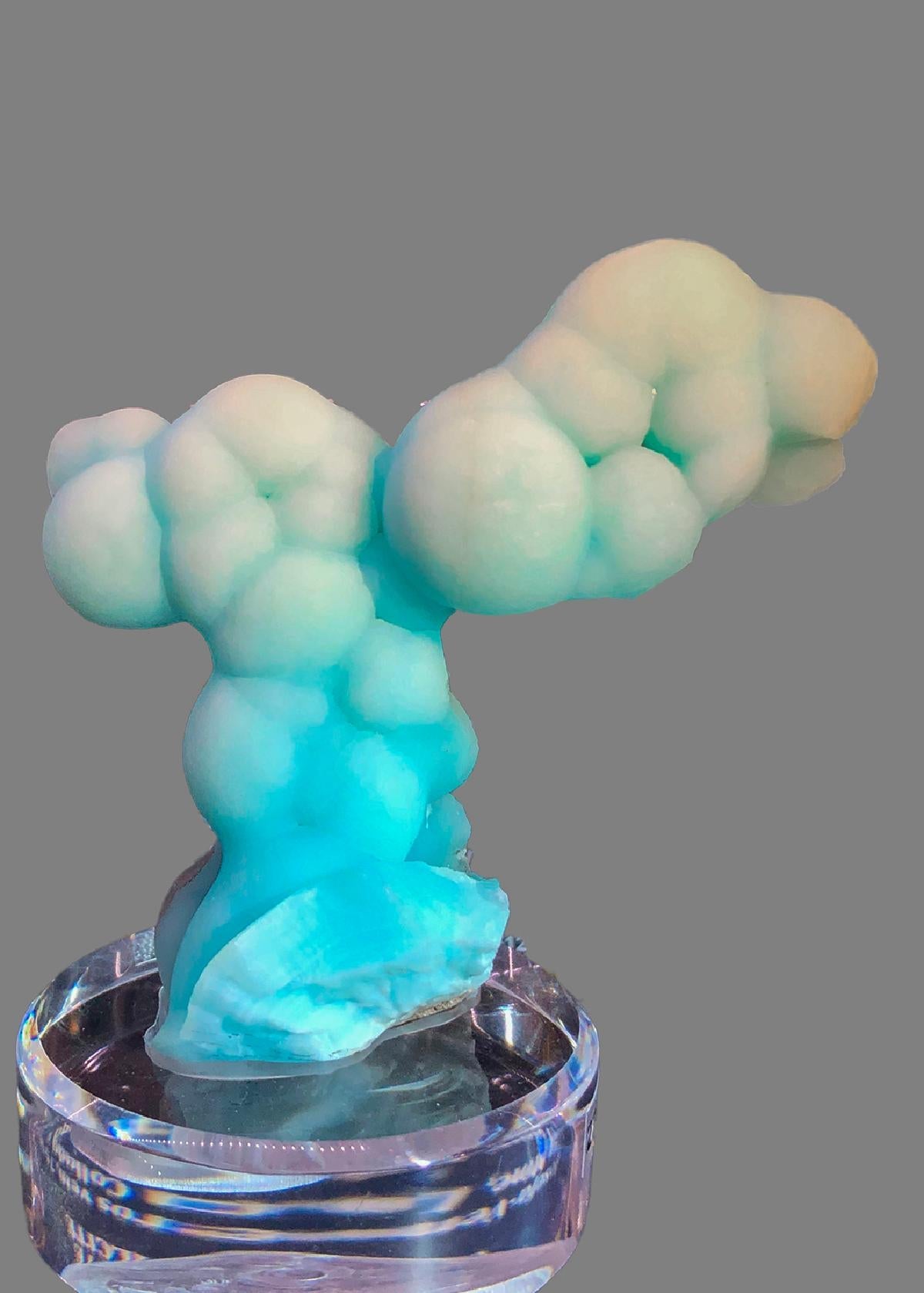 CC41112 specimen image