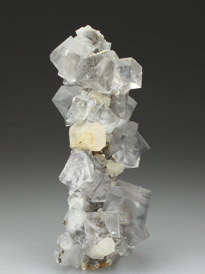 CC4155 specimen image
