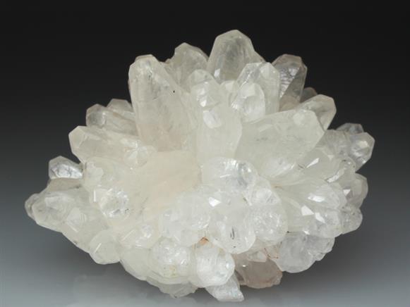 CC4172 specimen image
