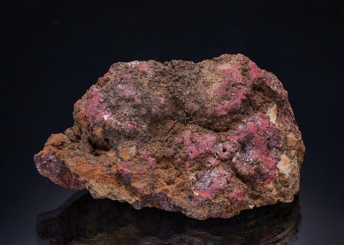CC41976 specimen image