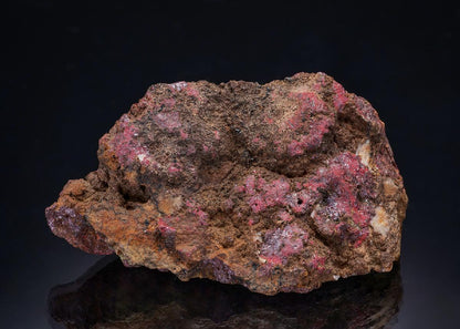 CC41976 specimen image
