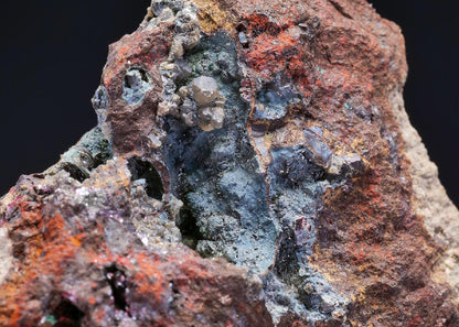 CC41982 specimen image
