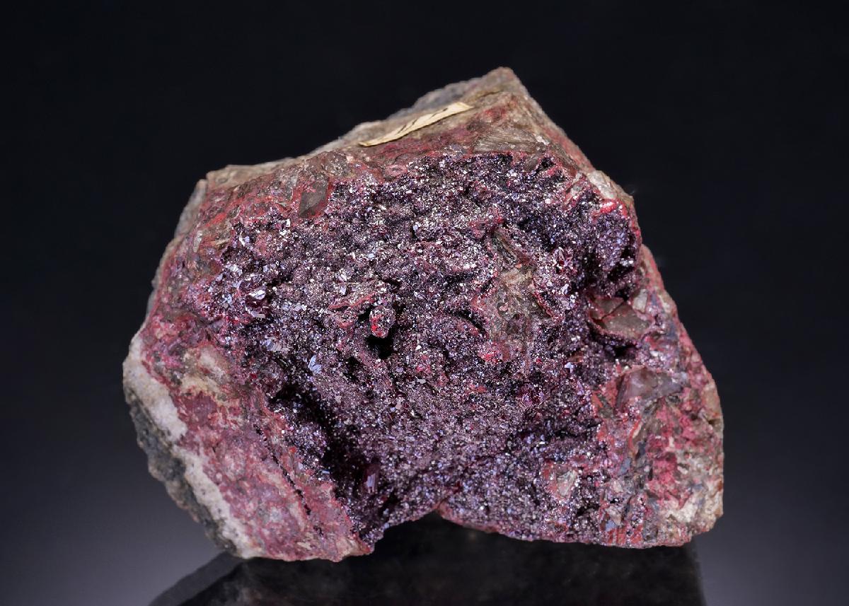 CC41986 specimen image
