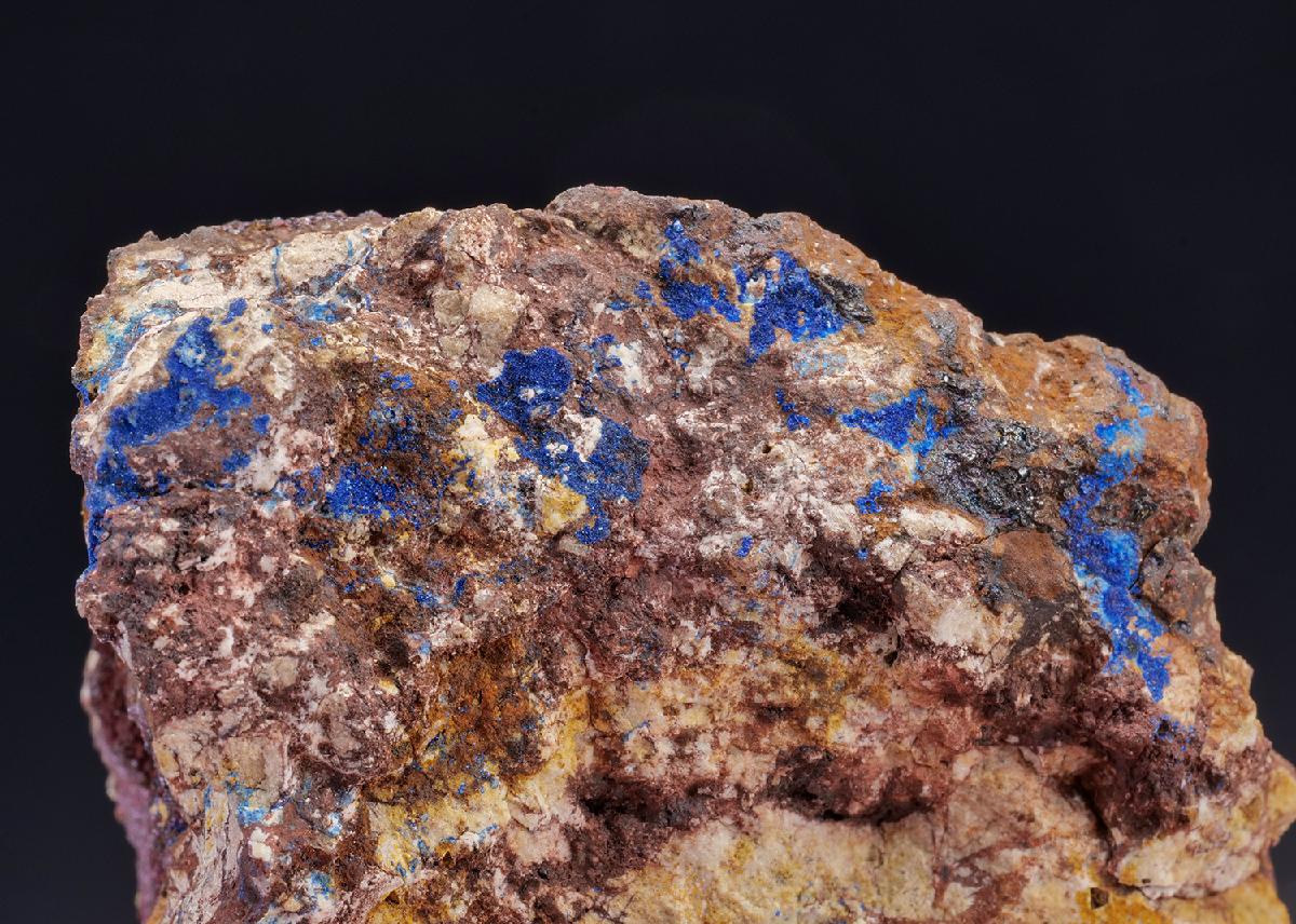 CC42024 specimen image