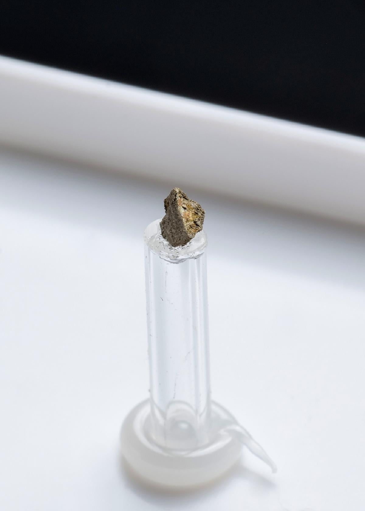 CC42028 specimen image