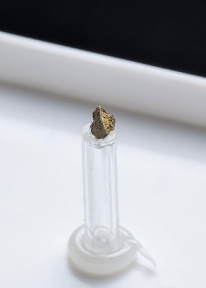 CC42028 specimen image