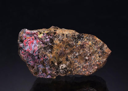 CC42036 specimen image