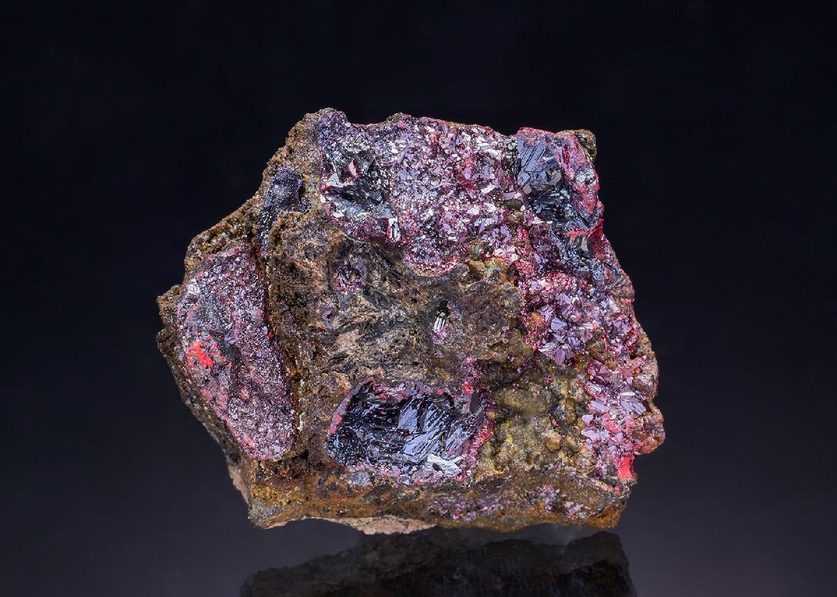 CC42038 specimen image