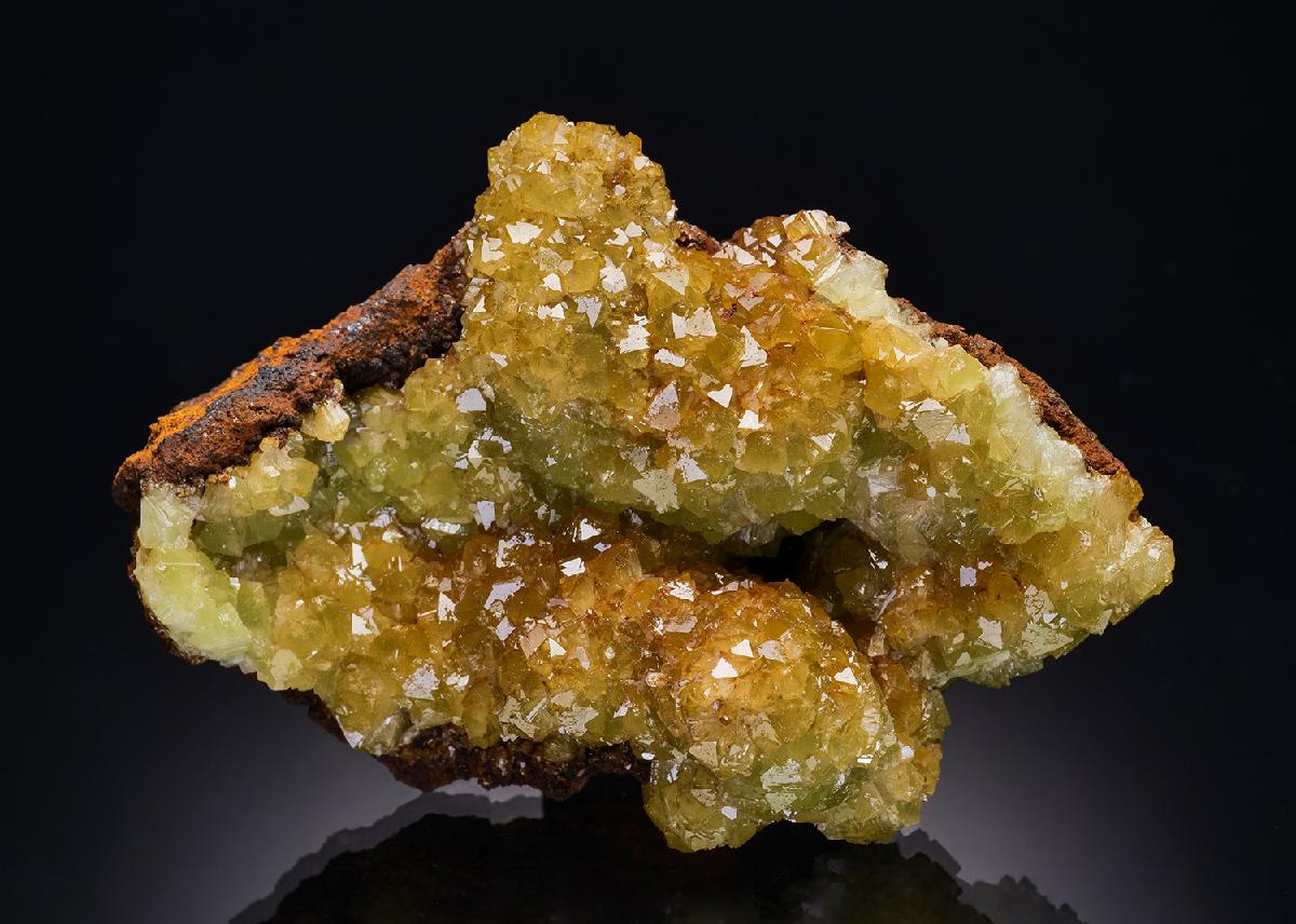 CC42074 specimen image