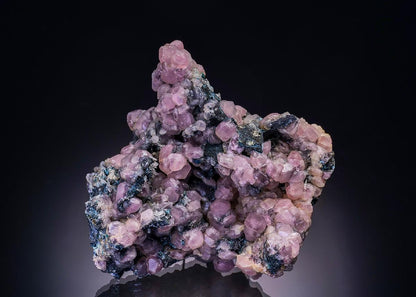 CC42078 specimen image