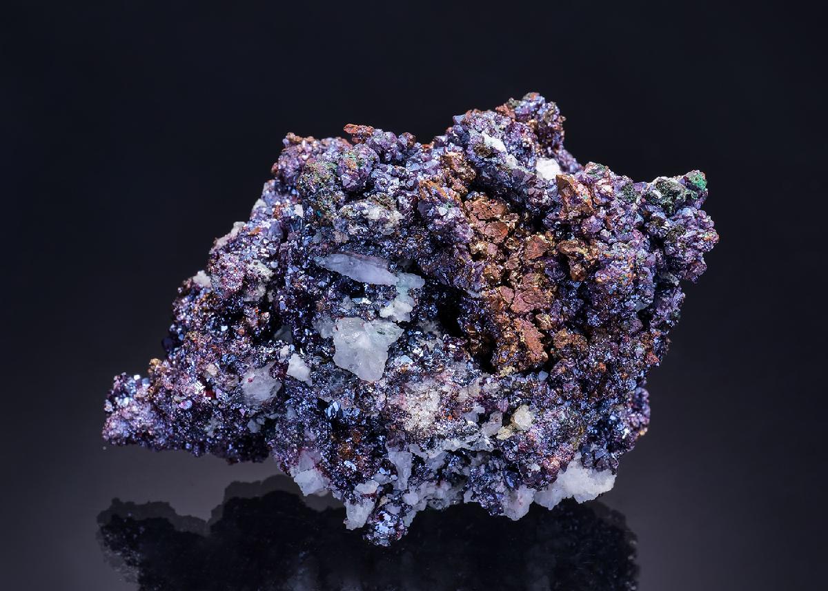 CC42092 specimen image
